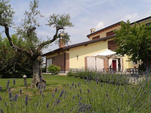 Hotel Agriturismo Anna Caterina Castelnuovo del Garda Exterior foto