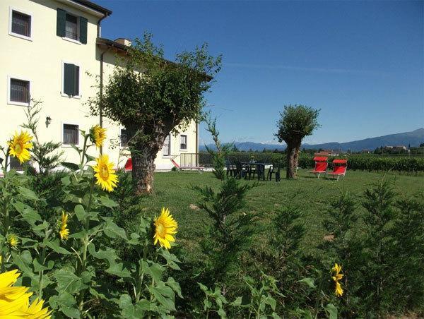 Hotel Agriturismo Anna Caterina Castelnuovo del Garda Exterior foto